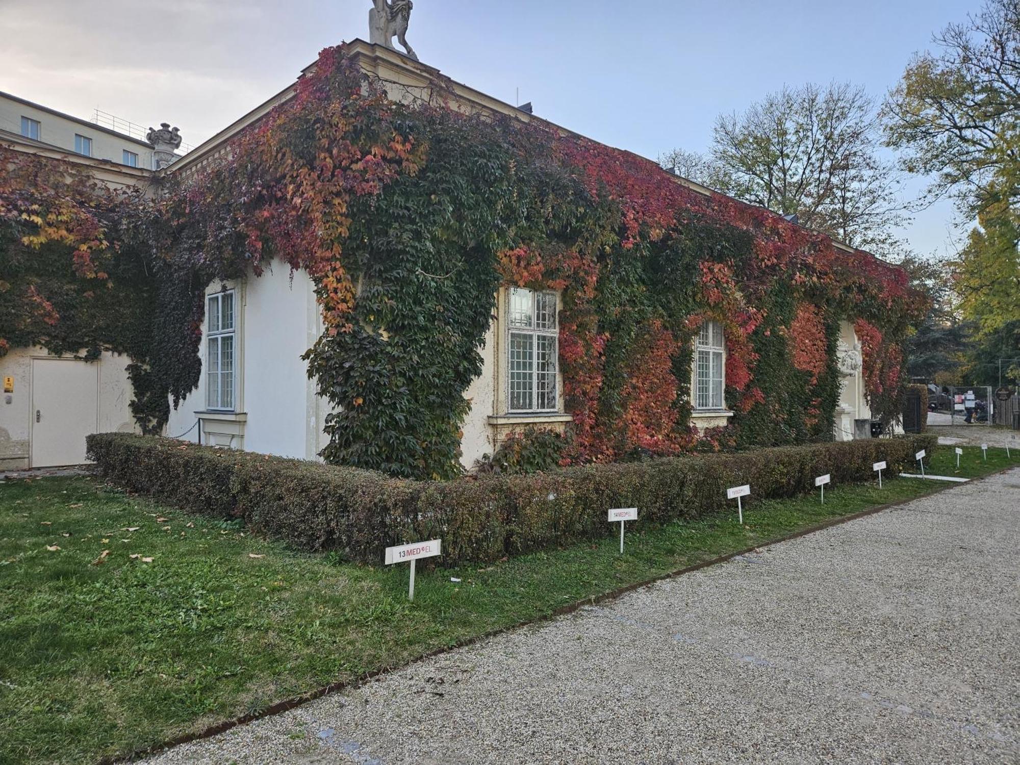 Mauthaus Lichtenstein Vienna Esterno foto